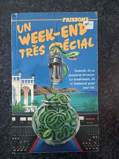 BOOK – FRISSONS – UN WEEKEND TRÈS SPÉCIAL (22) – UV SPOT VERSION