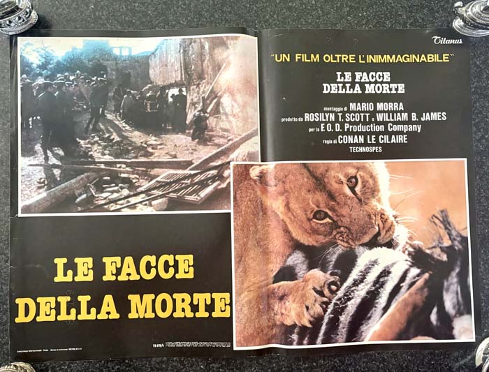 Poster – Lobby Card – Face of death – Italian Version (1979)