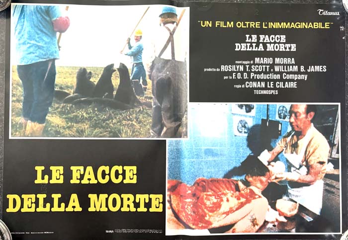 Poster – Lobby Card – Face of death – Italian Version (1979)